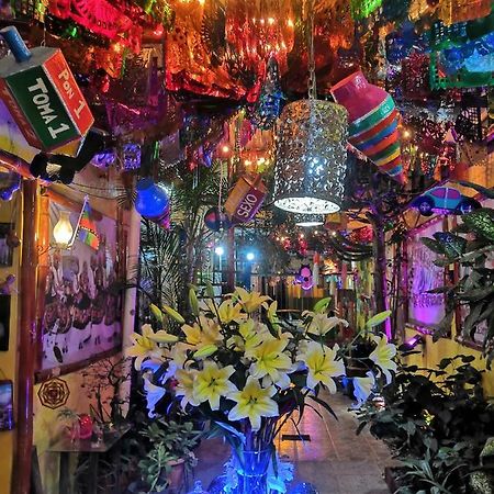 Hostal Oaxaca Magic Экстерьер фото