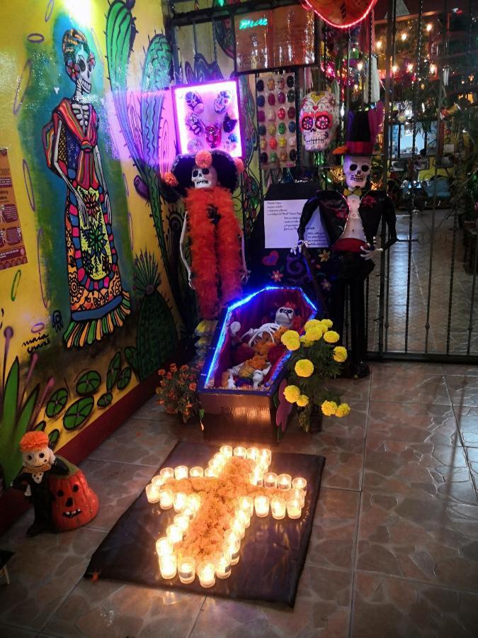 Hostal Oaxaca Magic Экстерьер фото