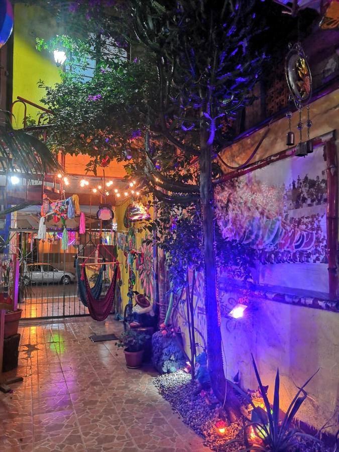 Hostal Oaxaca Magic Экстерьер фото