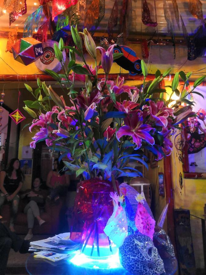 Hostal Oaxaca Magic Экстерьер фото
